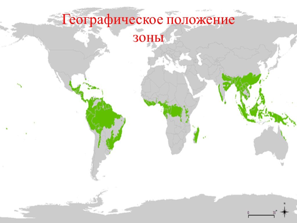 Переменно влажные леса карта