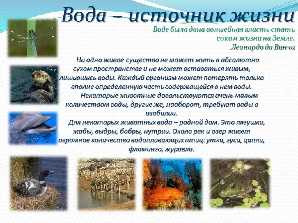 Презентация живая вода