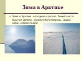 Зима в Арктике. Зима в Арктике холодная и долгая. Зимой часто бушуют метели, свирепствуют морозы. Зимой океан скован льдом