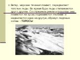 Ветер, морские течения ломают, передвигают толстые льды. Во время бури льды сталкиваются друг с другом. Со страшным ревом и грохотом они ломаются на куски, поднимаются глыбами и надвигаются одна на другую, образуя ледяные холмы - ТОРОСЫ