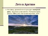 Лето в Арктике. На смену длинной ночи приходит полярный день. Круглые сутки светло. Полярный день длится 189 суток. Наступает короткое лето