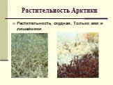 Растительность Арктики. Растительность скудная. Только мхи и лишайники