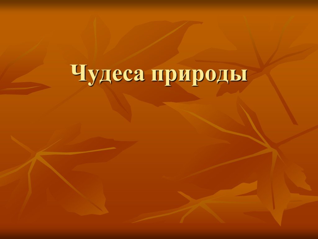 Презентация на тему чудеса природы на английском