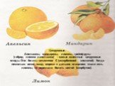 Цитрусовые. Апельсины, мандарины, лимоны, грейпфруты (гибрид лимона и апельсина) – самые известные цитрусовые плоды. Они богаты витамином С (аскорбиновой кислотой). Когда несколько веков назад моряки в дальних плаваниях стали есть лимоны, то перестали болеть цингой (скорбутом).