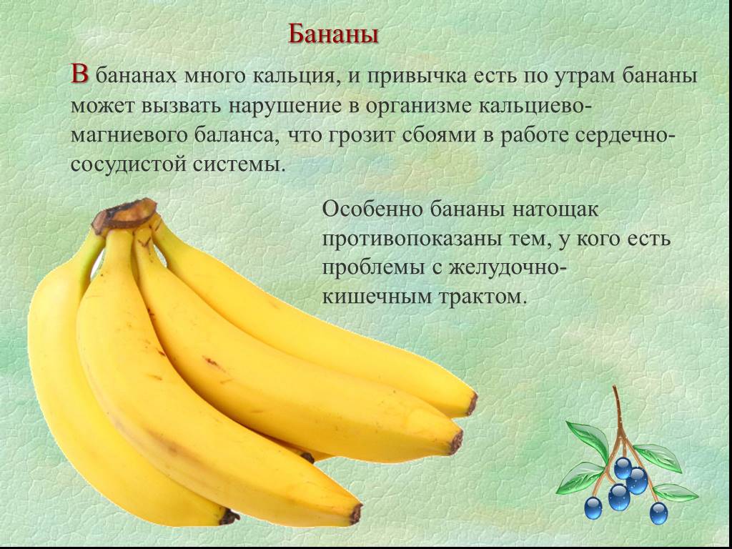 Бананы какой зрелости запрещено выставлять. Чем полезен банан. Почему нельзя есть бананы. Бананы нельзя есть на голодный желудок. Банан на голодный желудок.