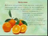 Цитрусовые. Любителям апельсиновых и грейпфрутовых соков стоит пересмотреть свой рацион питания, так как употребление цитрусовых натощак – это кратчайший путь к гастриту. Кислоты, содержащиеся в цитрусовых плодах, разъедают стенки желудка, провоцируя развитие гастрита. Особенно осторожным следует бы