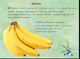 В бананах много кальция, и привычка есть по утрам бананы может вызвать нарушение в организме кальциево-магниевого баланса, что грозит сбоями в работе сердечно-сосудистой системы. Бананы. Особенно бананы натощак противопоказаны тем, у кого есть проблемы с желудочно-кишечным трактом.