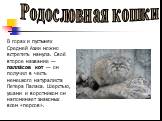 В горах и пустынях Средней Азии можно встретить манула. Своё второе название — палла́сов кот — он получил в честь немецкого натуралиста Петера Паласа. Шерстью, ушами и воротником он напоминает знакомых всем «персов».