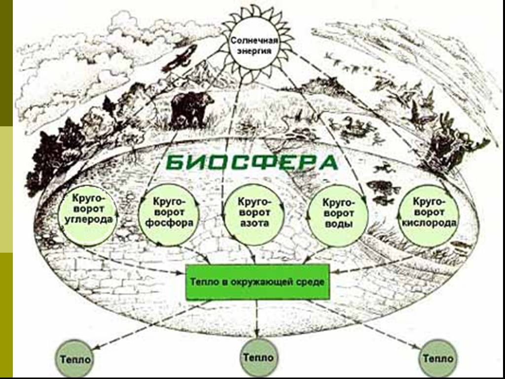 К примерам взаимодействия биосферы. Схема экосистемы на земле. Биосфера. Схема взаимосвязи оболочек земли. Связь биосферы с оболочками земли.