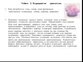 Работа 2. Выращивание кристаллов. Вам потребуется: соль, сахар, вода прозрачные пластиковые стаканчики, ложка, веревка, карандаш. Положите несколько полных ложек столовой соли в стакан. Заполните стакан на три четверти водой. Перемешайте соль ложкой. Если соль растворилась, добавьте еще одну ложку с