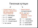 Геномные мутации. Полиплоидия k n – кратное n увеличение или уменьшение числа хромосом k = 1 - гаплоидия k = 2 – норма k = 3 - триплоидия k = 4 - тетраплоидия и так далее. Анеуплоидия (гетероплоидии) 2n+k, где k=n – некратное n изменение числа хромосом 2n + 1 - трисомия 2n + 2 - тетрасомия 2n – 1- м