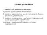 Уровни управления. I уровень - собственники организации; II уровень - руководители организации; III уровень – руководители цехов (производств, бизнес-процессов, управлений); IV уровень - руководители структурных подразделений цехов, производств, управлений; V уровень - линейные работники структурных