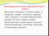 Висцеральные ветви брюшной части аорты Выделяют непарные и парные ветви. К непарным ветвям от­носятся чревный ствол, верхняя и нижняя брыжеечные артерии. В число парных ветвей брюшной части аорты входят средняя надпочечниковая, почечная, яичковая (яичниковая) артерии.