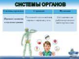 Головной и спинной мозг, нервы и нервные узлы. Согласованная работа органов и всего организма.