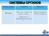 Яичники → маточные трубы → матка…. Воспроизведение нового поколения. Семенники → семявыводящие протоки → …