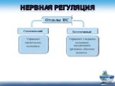 Отделы НС Соматический Вегетативный. Управляет скелетными мышцами. Управляет гладкими мышцами, внутренними органами, обменом веществ.