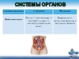 Почки → мочеточники → мочевой пузырь → мочеиспускательный канал. Выведение из организма вредных и ненужных веществ.