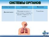 Носовая полость → носоглотка → гортань → трахея → бронхи → легкие. Газообмен.