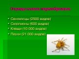 Отряды класса паукообразных. Сенокосцы (2500 видов) Скорпионы (600 видов) Клещи (10 000 видов) Пауки (21 000 видов)