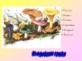 Съедобные грибы. 1 Груздь 2 Рыжик 3 Еловик 4 Сыроежка 5 Розарий 6 Лисички