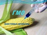 ГМО. Трансгенные организмы.