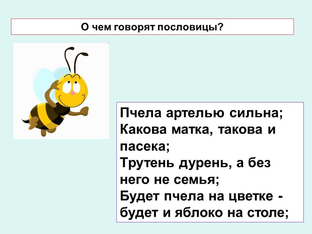 Фразеологизм пчела. Пословицы про пчел. Поговорки о пчелах. Пословицы и поговорки о пчёлах. Пословицы и поговорки про насекомых.