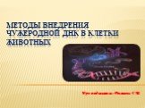 Методы внедрения чужеродной ДНК в клетки животных. Преподаватель: Роспаева Г.М.