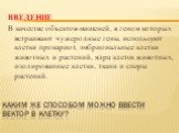 Каким же способом можно ввести вектор в клетку? ВВЕДЕНИЕ В качестве объектов-мишеней, в геном которых встраивают чужеродные гены, используют клетки прокариот, эмбриональные клетки животных и растений, ядра клеток животных, изолированные клетки, ткани и споры растений.