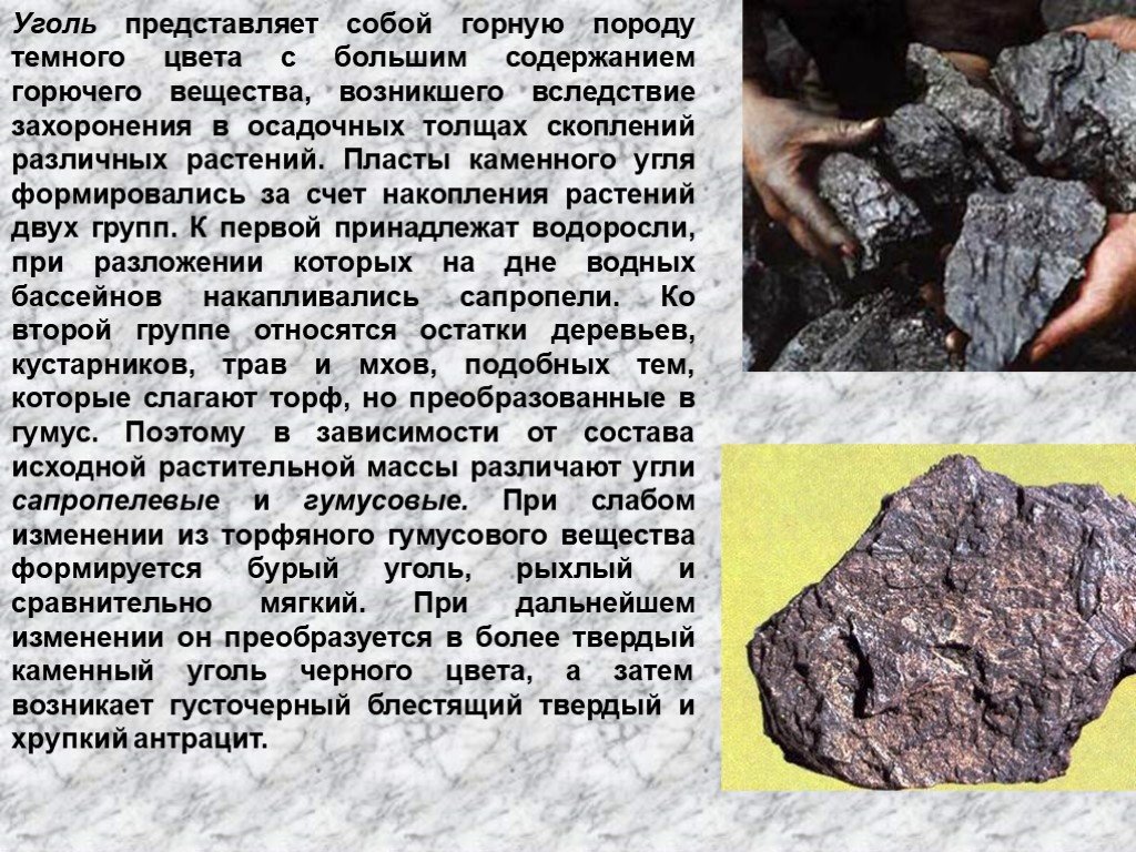 Каменный уголь осадочная. Хемогенные горные породы. Каменный уголь осадочные горные породы. Что представляет собой уголь. Доклад о горных породах.