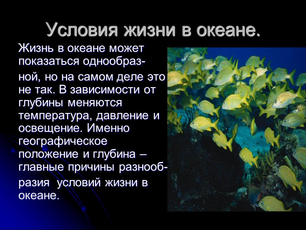 Презентация по биологии 5 класс жизнь в морях и океанах