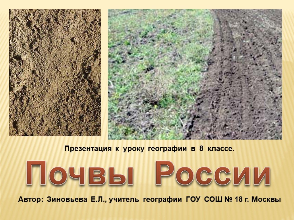 Почвы средней полосы. Почвы России. Почвы, почвы России. Презентация о почве России. Почвы России 8.
