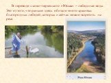 В переводе с коми-пермяцкого «Юсьва» – лебединая вода. Это от того, что раньше здесь обитало много красивых благородных лебедей, которых и сейчас можно встретить на реке.