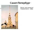 Санкт-Петербург. Ботный дом и колокольня Петропавловского собора