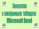 Microsoft Excel. Знакомство с электронными таблицами