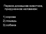 Первое домашнее животное, прирученное человеком: 1) корова 2) лошадь 3) собака