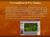 TwistedBrush Pro Studio. TwistedBrush Pro Studio - это достаточно интересная программа, в которой реализован "альбомный" принцип хранения рисунков. Каждый файл, который вы создаете в программе, это альбом, в котором есть страницы с рисунками. При помощи стрелок навигации можно быстро перех