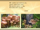 Нет грибов дружней как эти, Знают взрослые и дети. На пеньках растут в лесу, Как веснушки на носу. опята