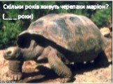 Скільки років живуть черепахи маріон? (_ _ _ роки)