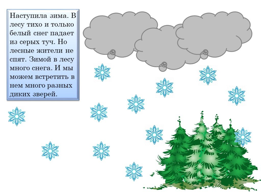 Белый снег серый. В лесу наступила зима. Текст в лес пришла зима. Почему в лесу зимой тихо. В лесу наступила темная зимняя ночь.