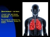 Дыхательная система служит для доставки кислорода в организм человека. Без воздуха человек не может прожить более 5 минут.