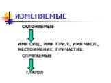 ИЗМЕНЯЕМЫЕ. СКЛОНЯЕМЫЕ ИМЯ СУЩ., ИМЯ ПРИЛ., ИМЯ ЧИСЛ., МЕСТОИМЕНИЕ, ПРИЧАСТИЕ. СПРЯГАЕМЫЕ ГЛАГОЛ