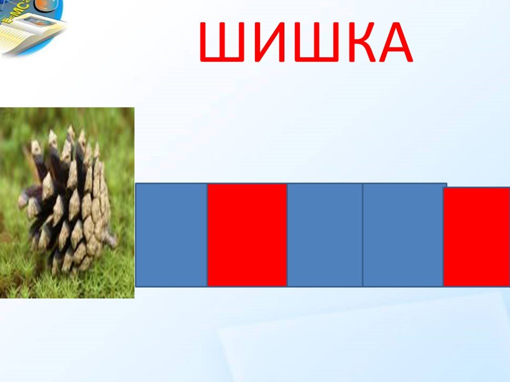 Разбор слова шишки. Схема слова шишка. Шишки звуковая схема. Шишка звуковая схема. Шишка схема 1 класс.