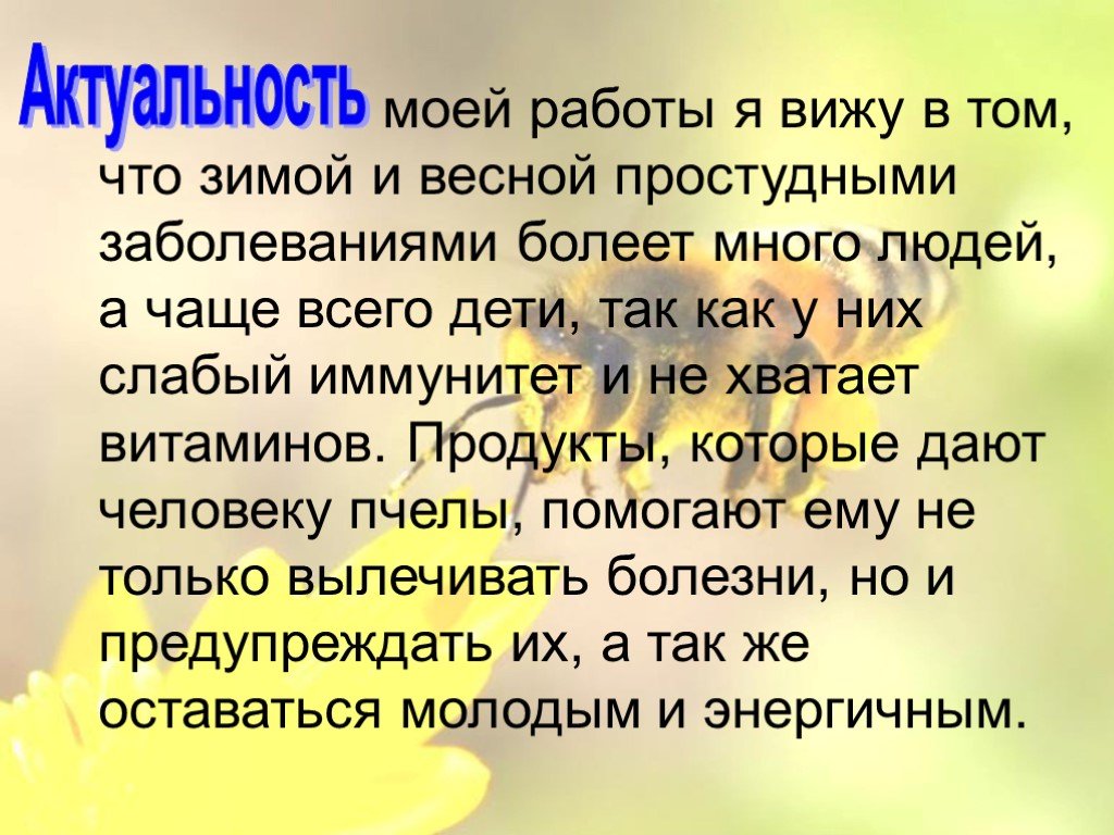 Что значит продукт в проекте