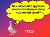 Как называют крупную водоплавающую птицу с длинной шеей? ГУСЬ