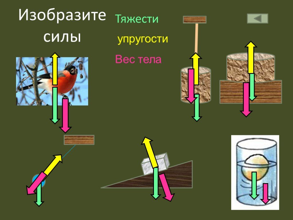 Презентация вес тела