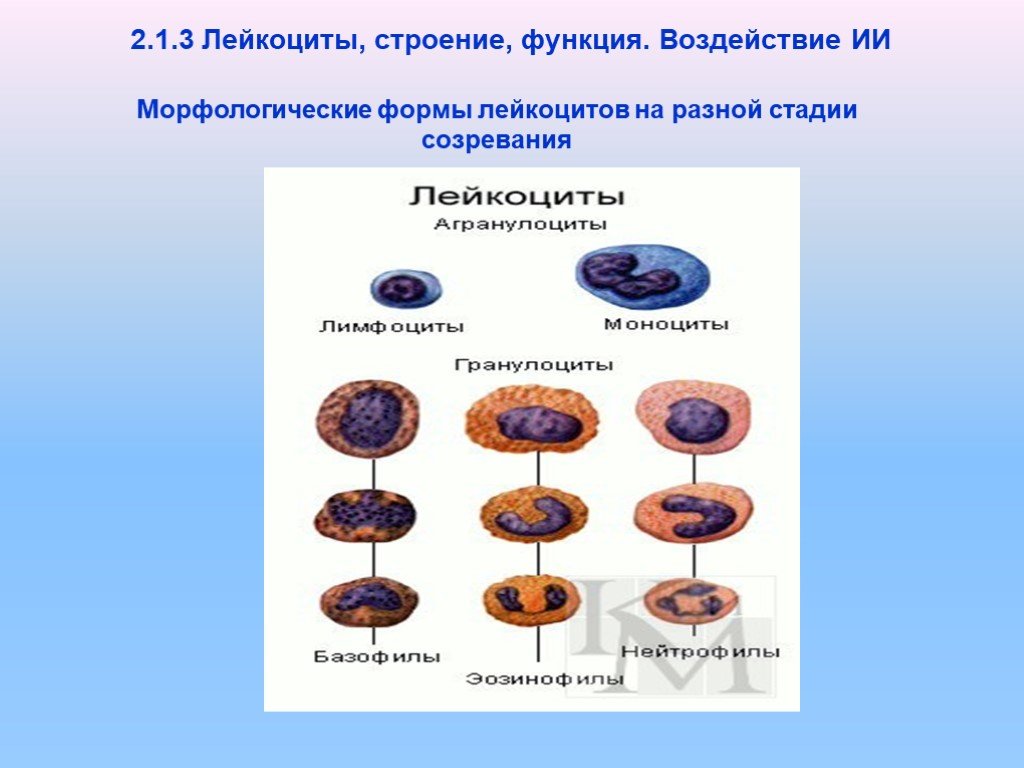 Используя содержание темы 2 и других тем учебника составьте схему факторы и формы воздействия