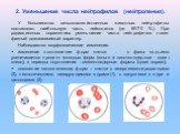 2. Уменьшение числа нейтрофилов (нейтропения). У большинства сельскохозяйственных животных нейтрофилы составляют наибольшую часть лейкоцитов (до 60-70 %). При радиационных поражениях уменьшение числа нейтрофилов носит фазный дозозависимый характер. Наблюдаются морфологические изменения: изменение со