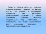 Кровь и лимфа являются жидкими соединительными тканями организма, состоят из плазмы и форменных элементов, они выполняют разнообразную функцию. В лимфе основными клетками является специальный вид лейкоцитов - лимфоциты. Эти ткани осуществляют две основные функции – транспортную и защитную.