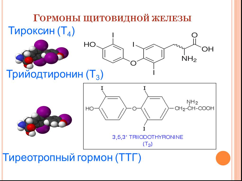 Какая железа выделяет тироксин. Гормоны щитовидной железы трийодтиронин. Тиреотропный гормон химическая формула. Химическая структура гормонов щитовидной железы. Трийодтиронин (т3) и тироксин (т4)..