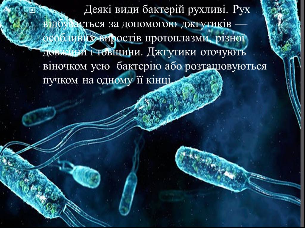 Прокариоты 2 вирусы. Бактерии. Клетка бактерии. Интересные бактерии. Интересные микроорганизмы.